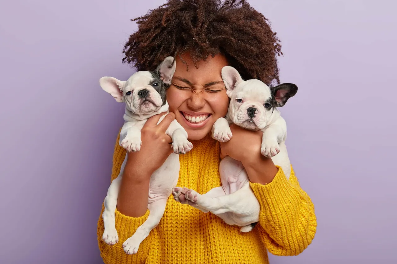 AkademIQ eğitim görseli 2